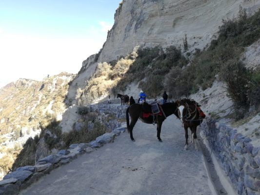 Pferde in der Quilotoa Kaldera