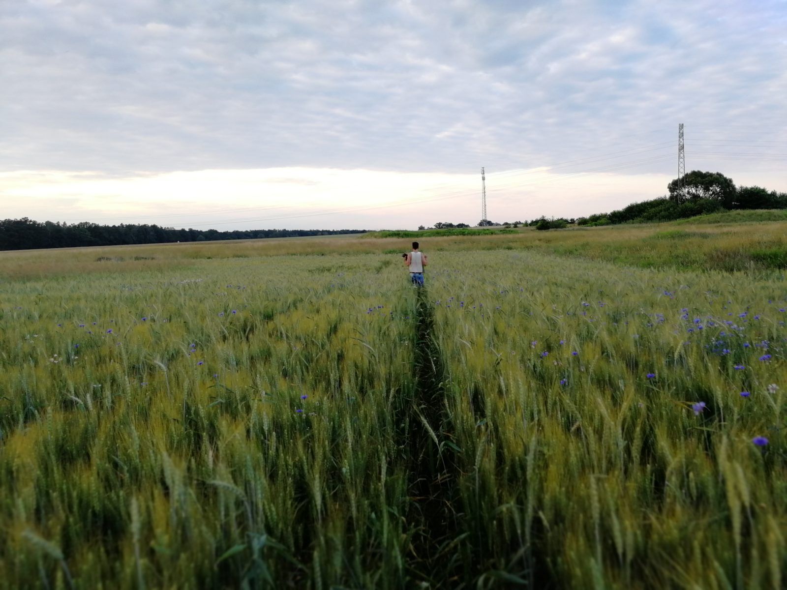 Reisen & Vanlife 10 IMG 20180617 200546