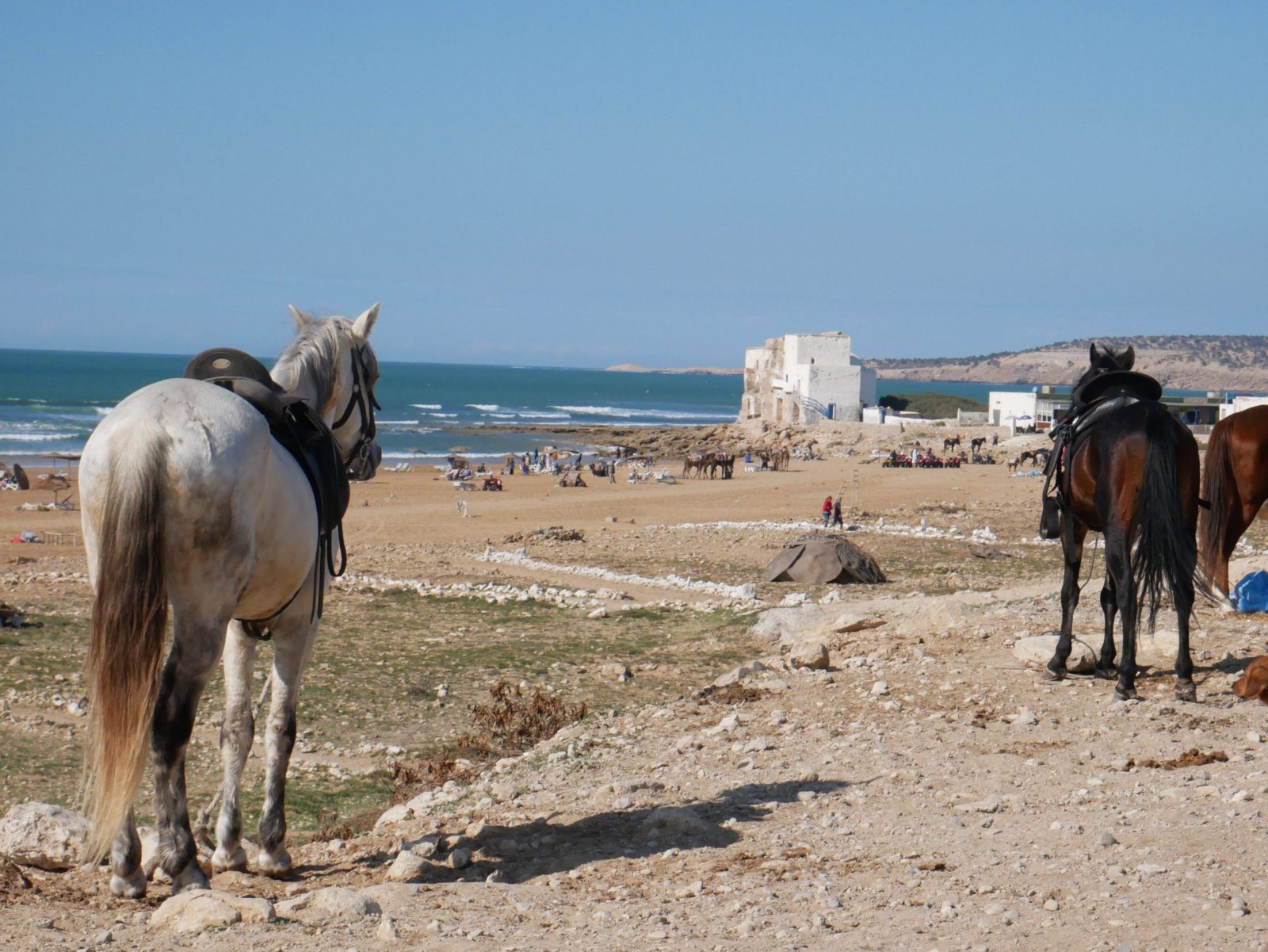 Marokko mit dem Camper 15 1010240 scaled
