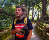 Affenbiss im Monkey Forest, Ubud