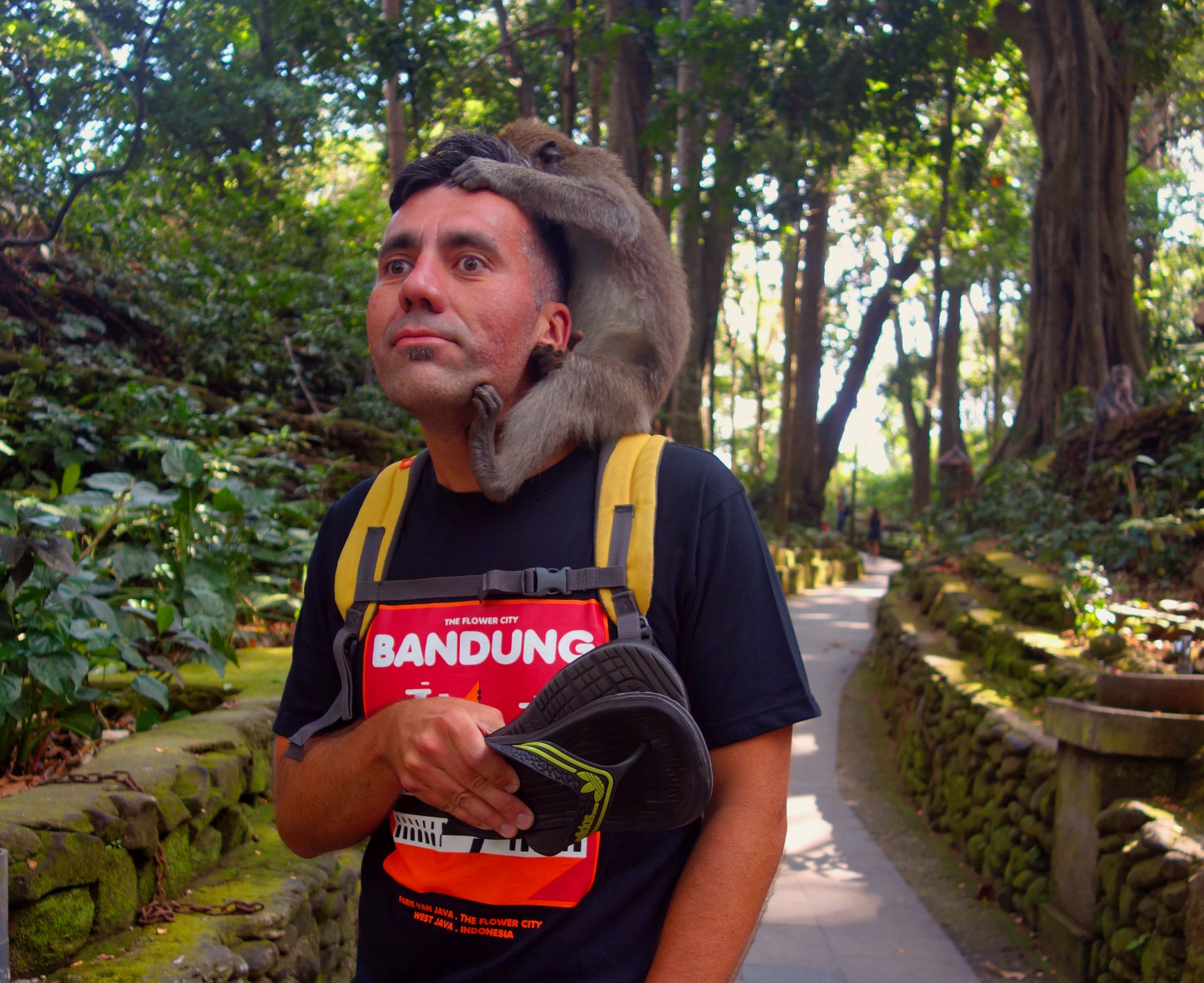 Reisen & Vanlife 34 Affenbiss im Monkey Forest, Ubud