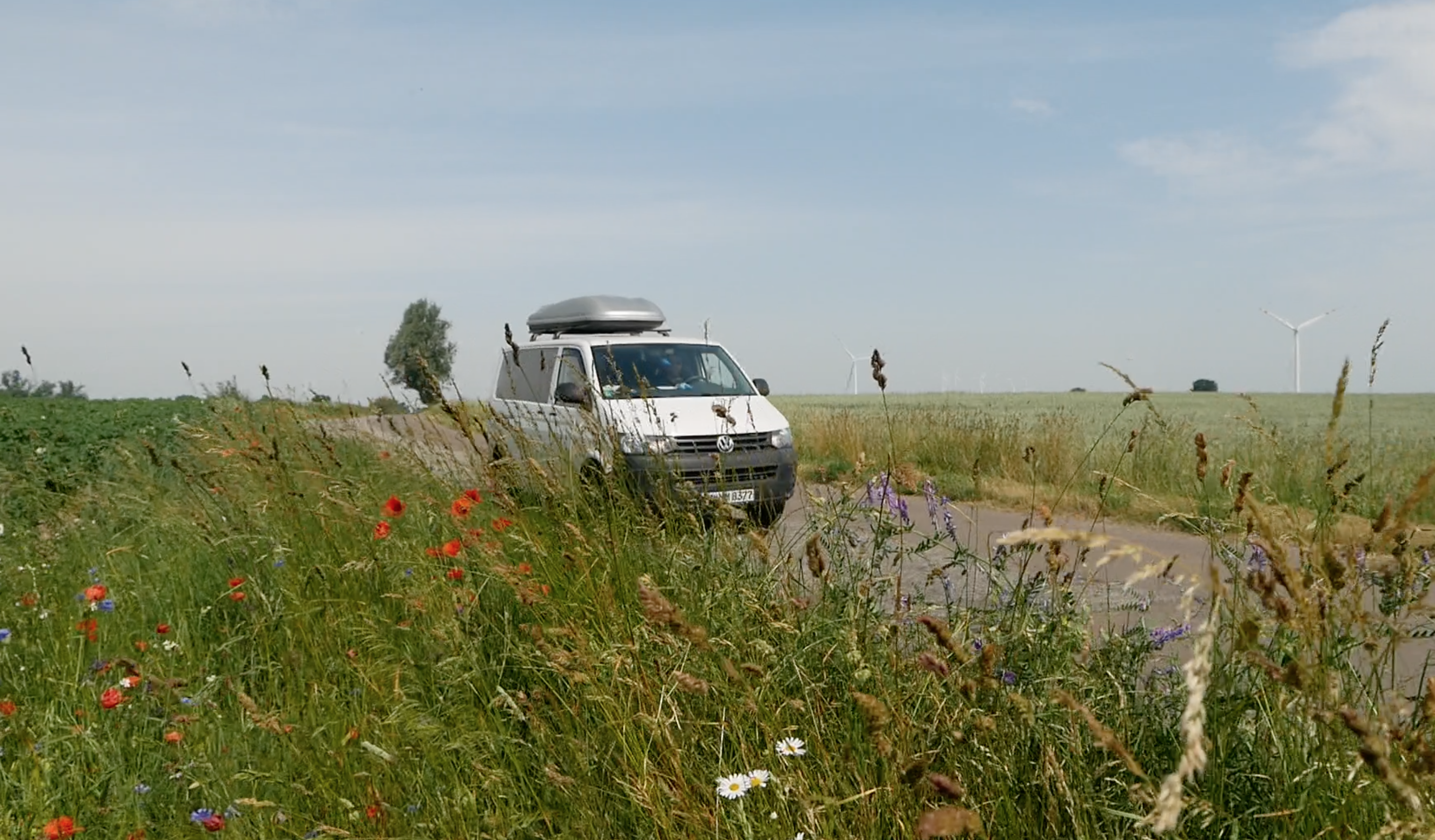 Reisen & Vanlife 9 VWT5 fährt an Feld entlang