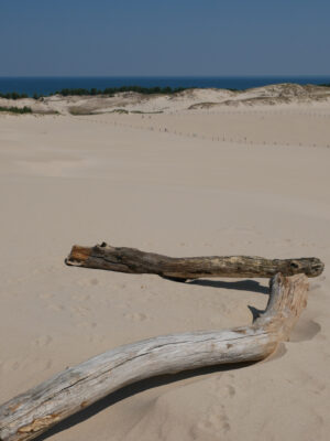 Ostsee Düne Holz