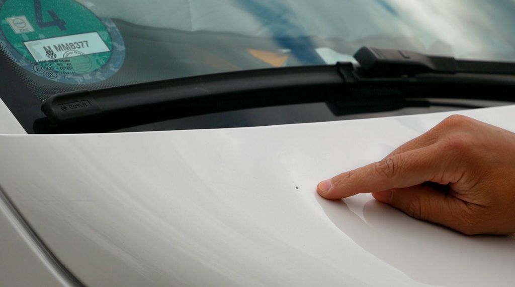 Blattläuse sorgen für verklebte Autos! Wie schnell muss die Schicht vom  Lack weg?