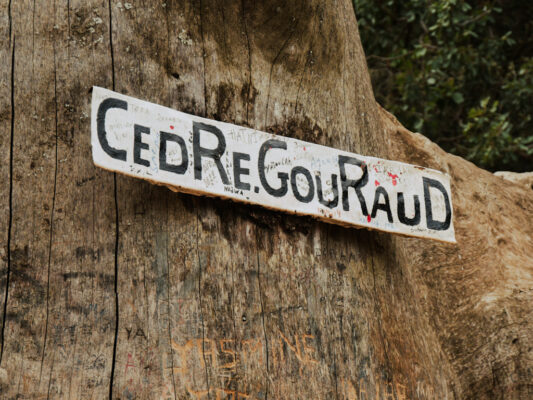 Schild Cedre Gouraud