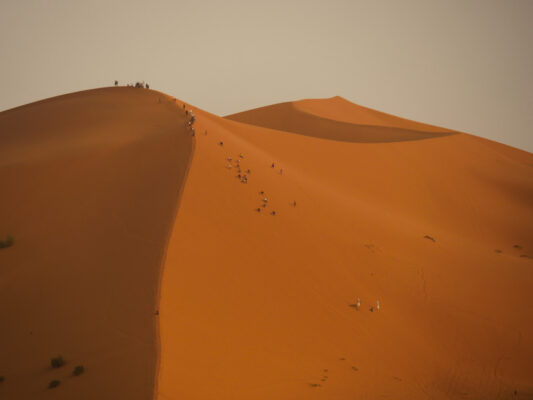 Wüstenlauf auf der großen Düne in der Nähe von Merzouga