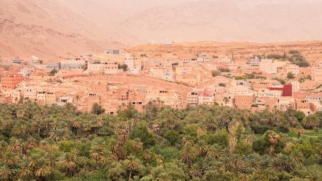 Oasenstadt Tinghir, im Vordergrund Palmenhaine, im Hintergrund die lehmfarbene Stadt