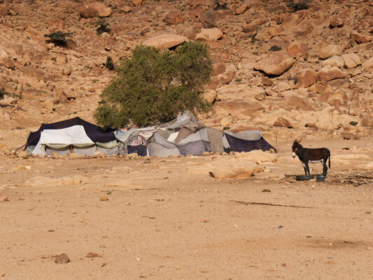 Zeltbehausungen der Berber mit Esel