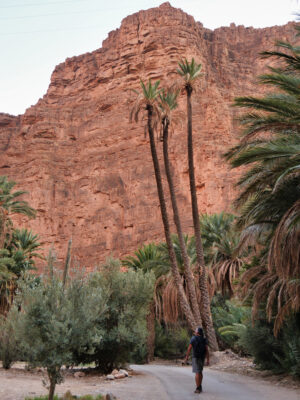 Hohe Felswände in der Ait Mansour Schlucht