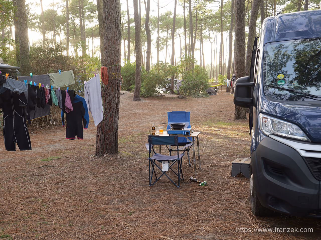 Frankreichs Atlantikküste mit dem Camper – Von der Bretagne bis in die Landes 20 Camper im Kiefernwald der Landes