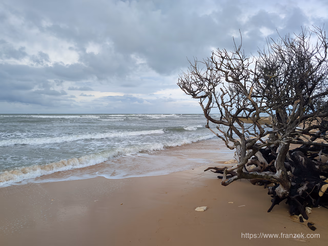 Frankreichs Atlantikküste mit dem Camper – Von der Bretagne bis in die Landes 13 Strand mit Treibholz auf der Île d'Oléron